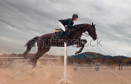 Картина Молодая девушка верхом на лошади преодолевает барьер на соревнованиях по конному спорту 