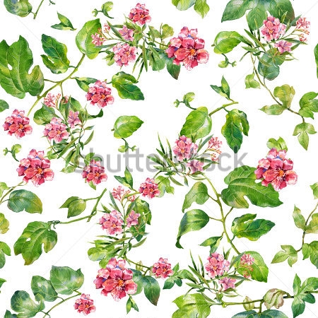 Картина Акварельная иллюстрация из листьев и розовых цветов олеандра на белом фоне 