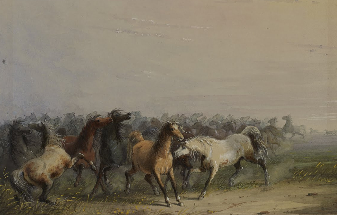 Alfred Jacob Miller (1810-1874).. Конь дикой охоты. Сколько у Миллера лошадей.