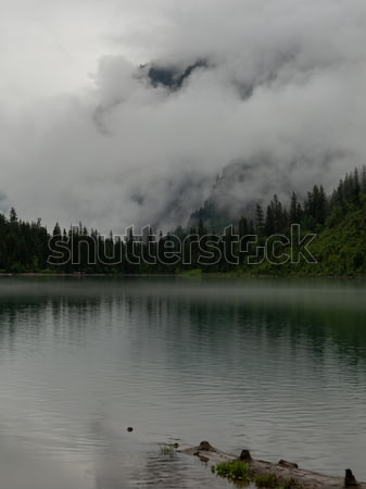 Постер Мистический пейзаж с густым туманом над хвойным лесом у озера