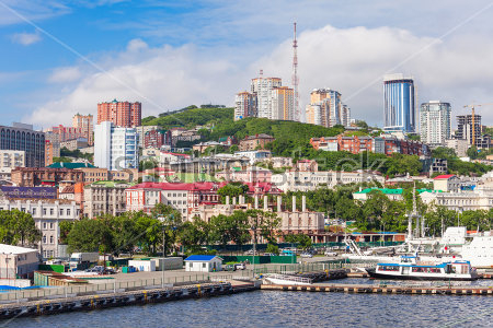Картина маслом Панорама Владивостока со стороны бухты Золотой Рог в ясный солнечный день 