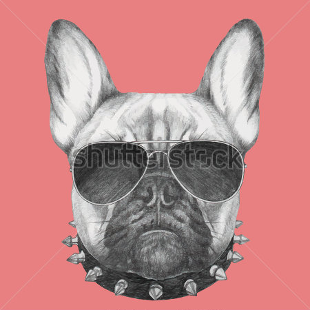 Картина Забавный коллаж с бульдогом-металлистом в шипованном ошейнике и тёмных очках на розовом фоне 