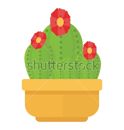 Картина Иллюстрация цветущего кактуса в горшке на белом фоне 