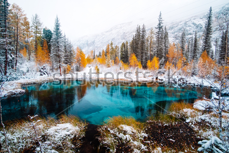 Постер Фантастическое голубое озеро в осеннем заснеженном лесу (Алтай, Россия)  