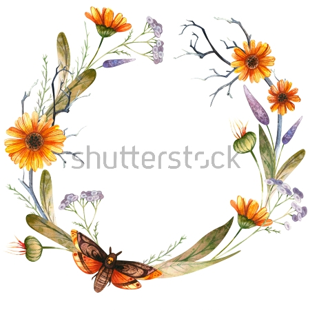 Картина Красивая акварельная иллюстрация цветочного венка с календулой, луговыми травами и бабочкой 