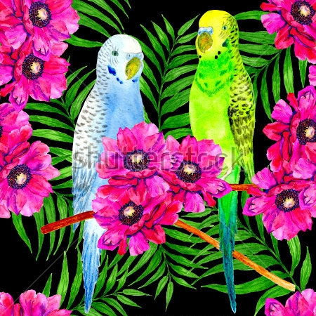 Картина Тропическая композиция из пальмовых листьев, бордовых цветов анемоны с синим и зелёным попугаями на чёрном фоне 