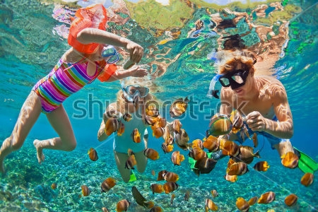 Картина Счастливая семья в масках плавает вместе с рыбками в тропическом море 