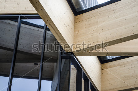 Постер Сочетание дерева, металла и стекла в современной архитектуре  