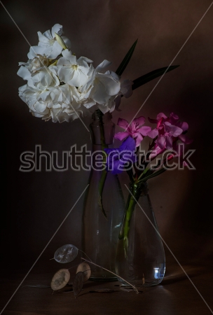 Картина маслом Натюрморт с ветками белого и розового олеандра в прозрачных вазах на тёмном фоне 