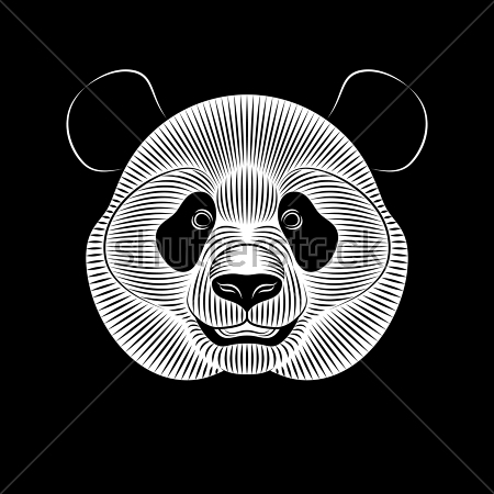 Картина Чёрно-белая иллюстрация с головой панды 