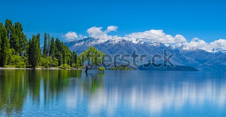 Постер Прекрасный пейзаж с видом на горные вершины, лес и одинокое дерево в озере Ванака на Южном Острове Новой Зеландии  