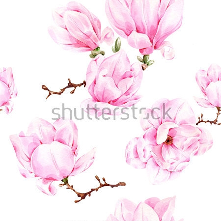 Картина Акварельная иллюстрация красивых цветов розовой магнолии 