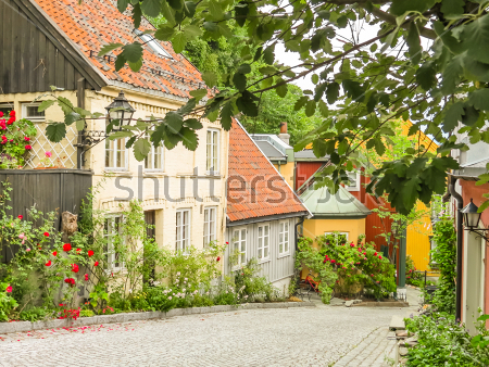 Картина Красивые деревянные дома на улице в историческом центре Осло 