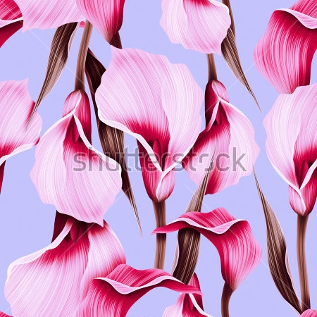Картина Яркая иллюстрация с розовыми цветами калл на нежном голубом фоне 