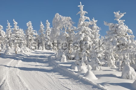 Картина Зимний пейзаж  