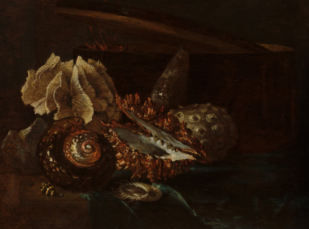 Купить картину Натюрморт с ракушками и кораллом Кальф Виллем на стену от  530 руб. в DasArt
