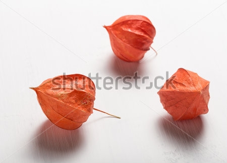 Картина Три оранжевых фонарика физалиса на белом фоне 