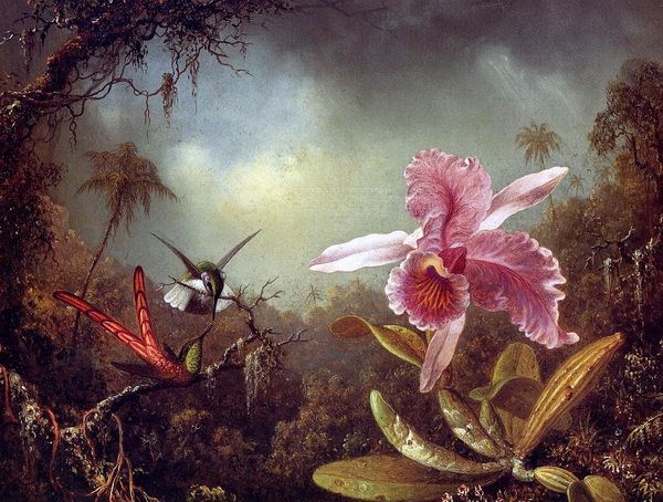 Картина Орхидеи и колибри (Orchids and Hummingbird) Хэд Мартин Джонсон