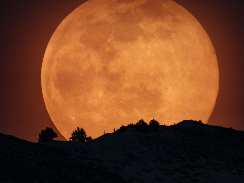 Сон луна большая. Огромная Луна. Гигантская Луна. Огромную луну на стене. Очень большая Луна.