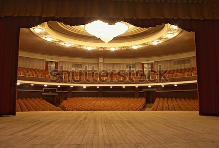 Картина Вид на зрительный зал со стороны деревянной сцены театра 
