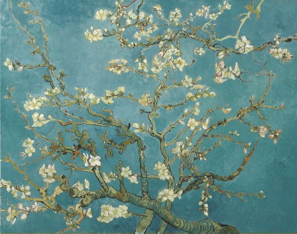 Постер Цветущие ветки миндаля  (Almond Blossom) Ван Гог Винсент