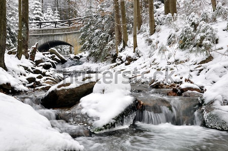 Постер Живописный зимний ручей в национальном парке Шумава (Чехия)  