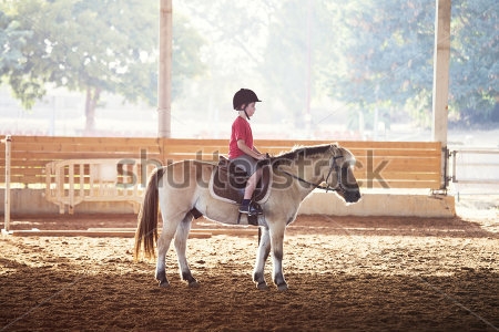 Картина Маленький мальчик верхом на лошади на уроке верховой езды 