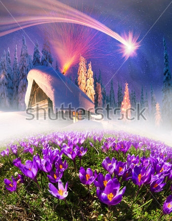Картина Сказочный коллаж с зимним ночным пейзажем, солнечной поляной крокусов и падающей с неба звездой 