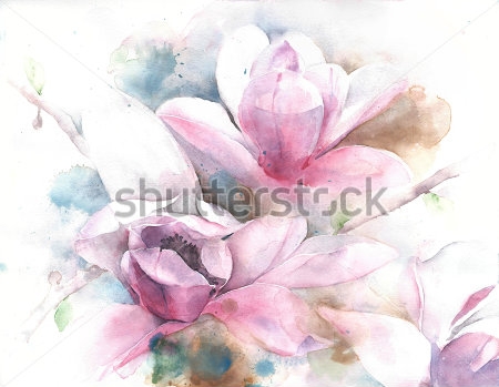 Картина Нежный акварельный рисунок розовых цветов магнолии 