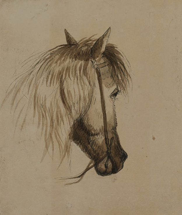Лошадь миллера. Голова лошади рисунок. Картина голова лошади. Портрет головы лошади. Постер голова лошади.
