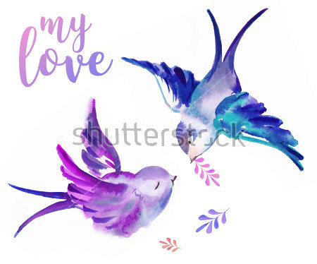 Картина Две красивые влюблённые птички на белом фоне 