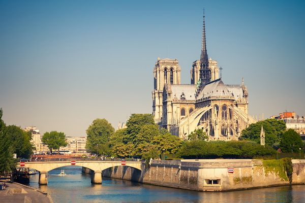 Картина Нотр-Дам де Пари (Notre Dame de Paris) 