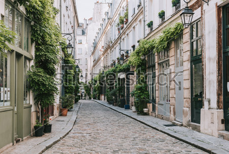 Постер Уютная зелёная улочка с клумбами и фонарями в Старом городе Парижеа  