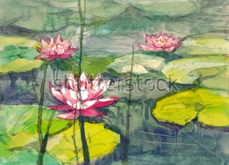 Картина Яркая акварельная иллюстрация с розовыми кувшинками в пруду 