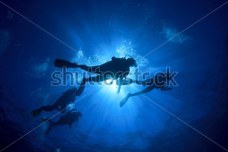 Картина Подводное плавание - несколько аквалангистов плывут под солнечным лучом 