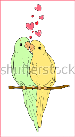 Картина Парочка очаровательных влюблённых попугаев с розовыми сердечками 
