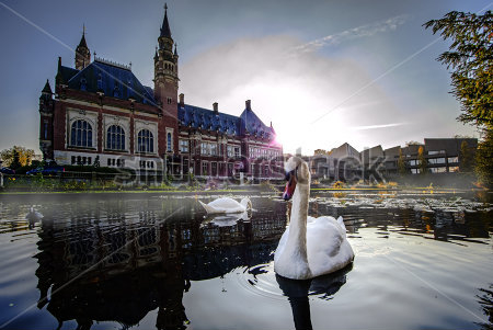 Картина Лебеди в пруду Дворца Мира в Гааге 