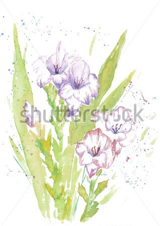 Картина Акварельный рисунок букета гладиолусов в мелких разноцветных брызгах 