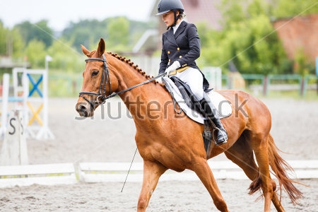 Картина Молодая девушка-наездница на конных соревнованиях по выездке  
