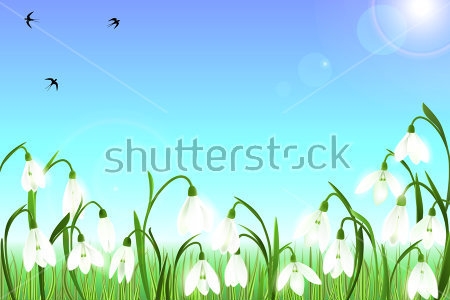 Картина Весенняя иллюстрация с подснежниками и ласточками в голубом небе 