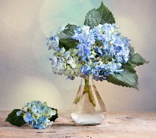 Постер Цветы в прозрачной вазе (Flowers in a clear vase)  