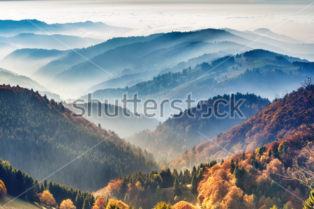 Картина Прекрасный горный пейзаж с видом на осенний лес в утреннем тумане 