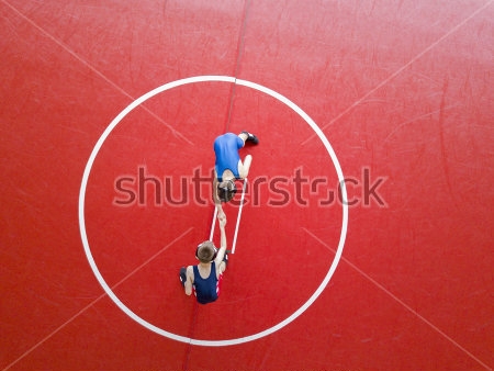Картина Юные борцы пожимают друг другу руки перед началом поединка в центре круга - вид сверху 