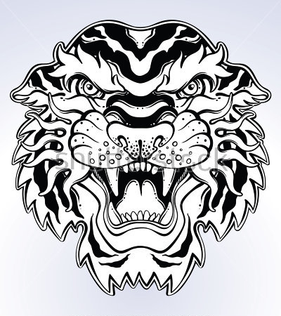 Картина Чёрно-белая иллюстрация головы разъярённого тигра на светло-сером фоне 
