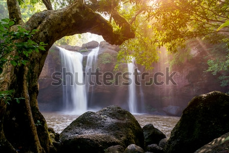 Постер Красивый водопад в тропическом лесу солнечным утром  