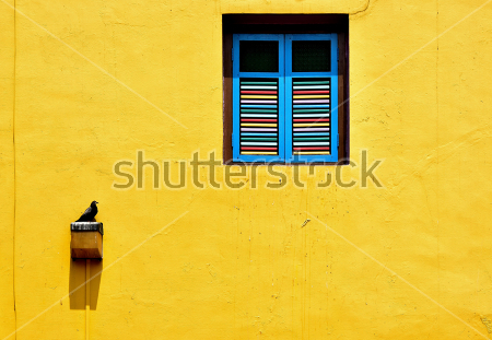 Картина Яркие голубые ставни на яркой жёлтой стене с птицей 