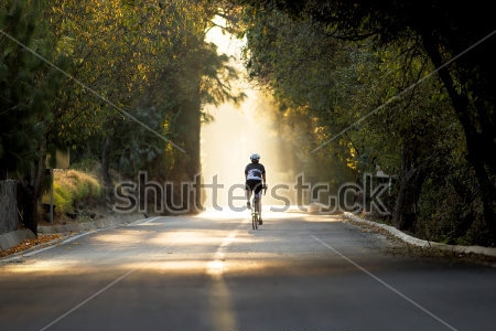 Картина Велосипедист тренируется на дороге в красивом тенистом лесу 