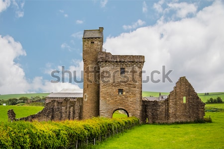 Постер Руины средневекового аббатства на фоне зелёных просторов (Шотландия)  