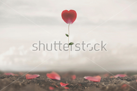 Постер Нежный цветок в форме сердца летит в облаках, рассыпая лепестки-валентинки  