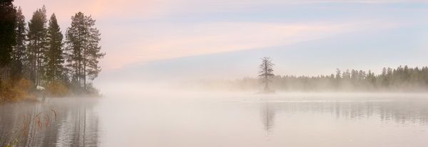Постер Туман над озером (Fog over the lake)  